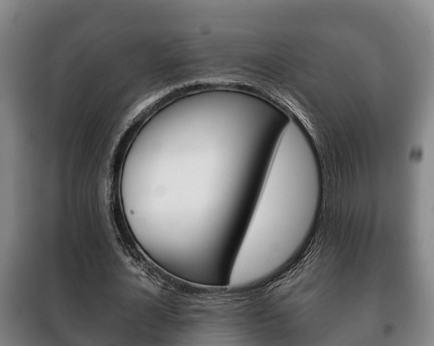 X0000100420724200806060947