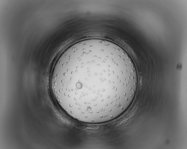X0000100420725200806060947