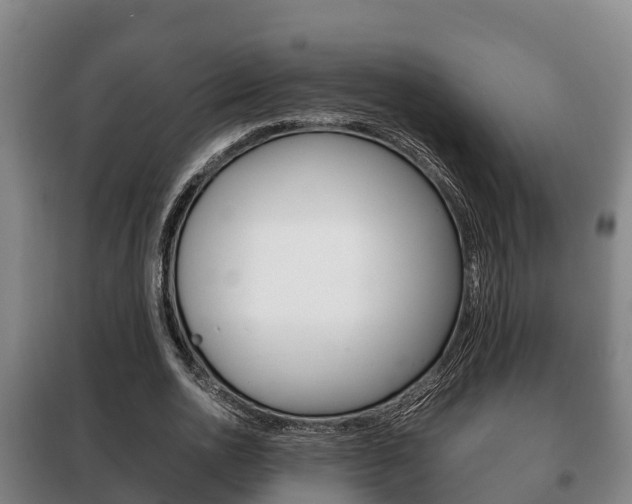X0000100420726200806060947