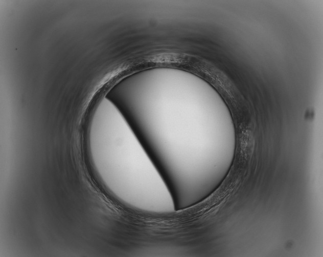 X0000100420727200806060947