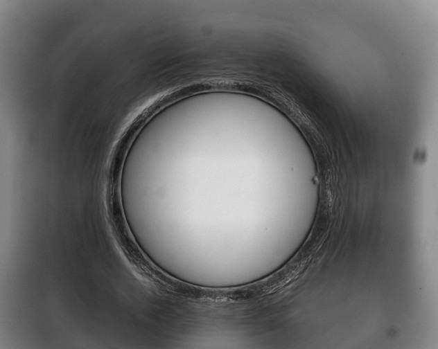 X0000100420728200806060947