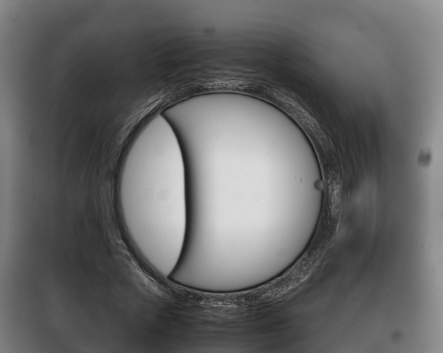 X0000100420729200806060947