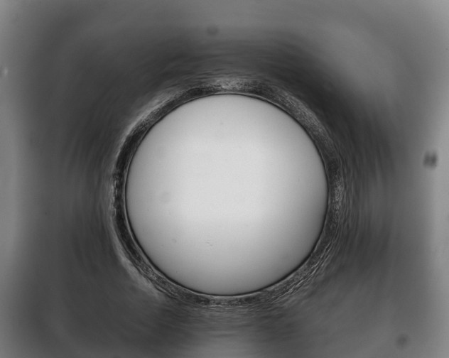 X0000100420730200806060947
