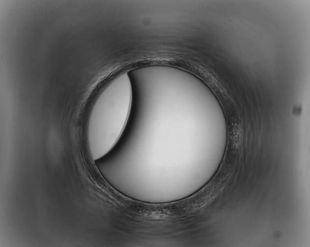 X0000100420731200806060947