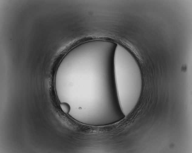 X0000100420732200806060947