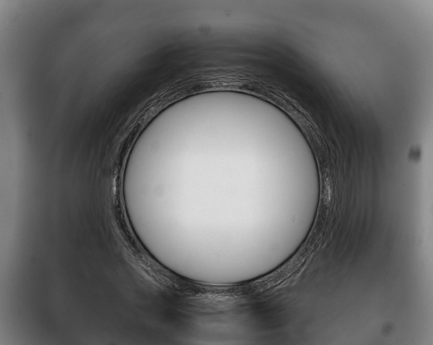 X0000100420733200806060947
