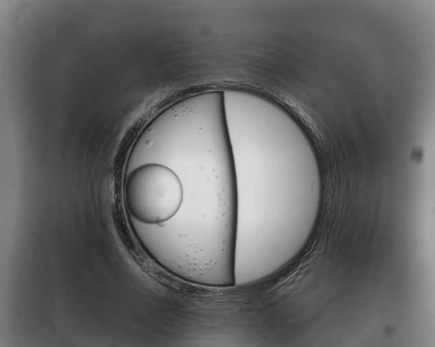 X0000100420734200806060947