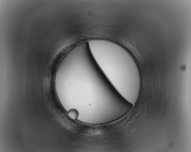 X0000100420735200806060947