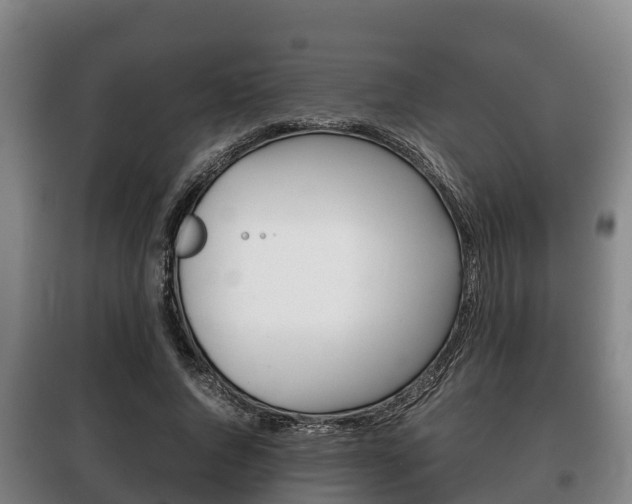X0000100420736200806060947