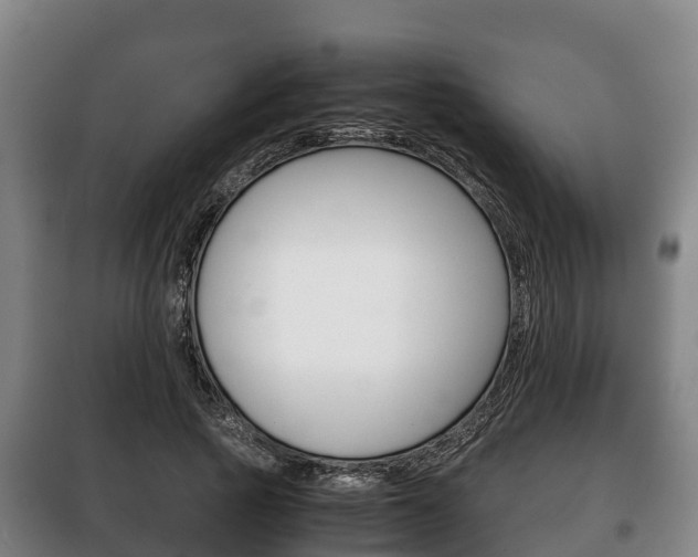 X0000100420737200806060947