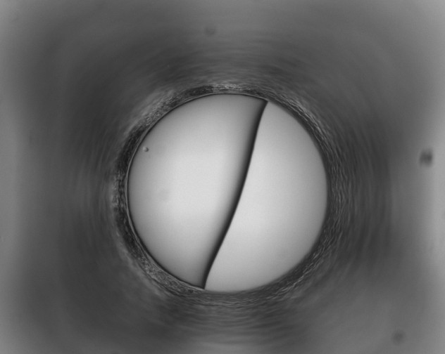 X0000100420738200806060947