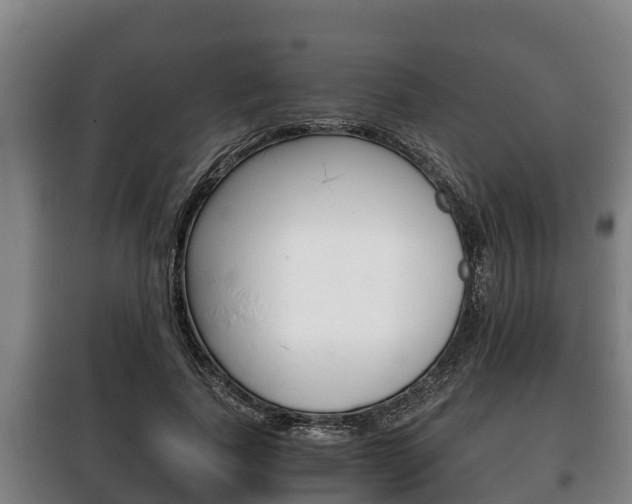 X0000100420739200806060947
