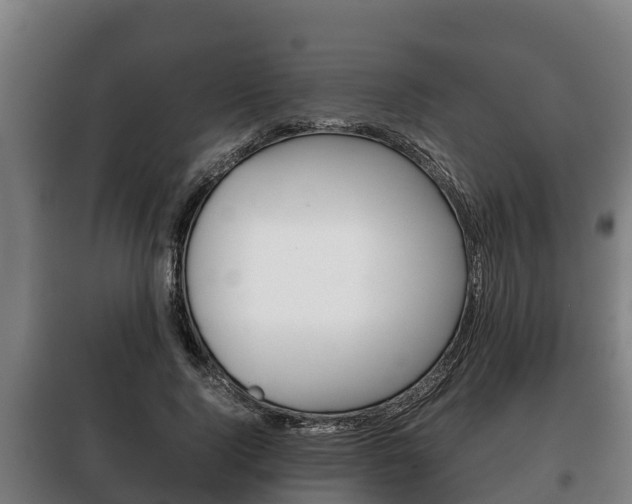 X0000100420740200806060947