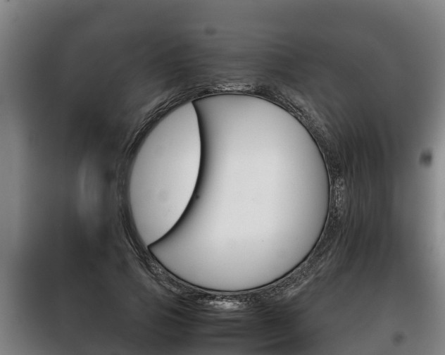 X0000100420741200806060947