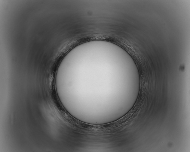 X0000100420742200806060947