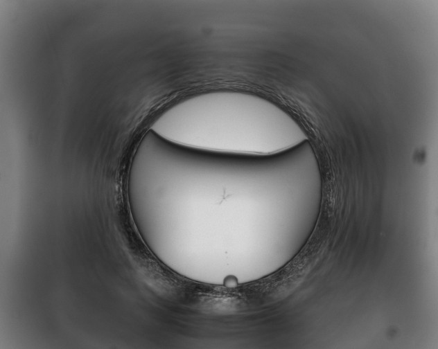 X0000100420743200806060947