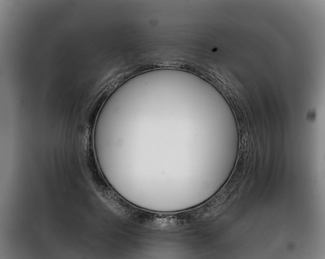 X0000100420744200806060947