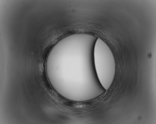 X0000100420746200806060947