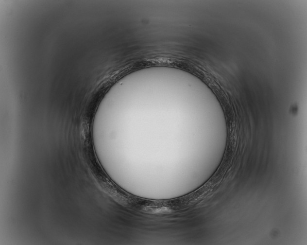 X0000100420747200806060947