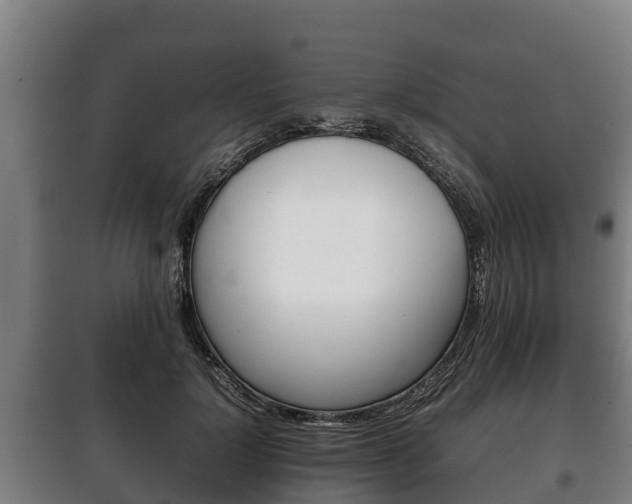 X0000100420748200806060947