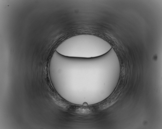 X0000100420749200806060947
