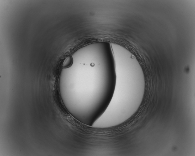 X0000100420750200806060947