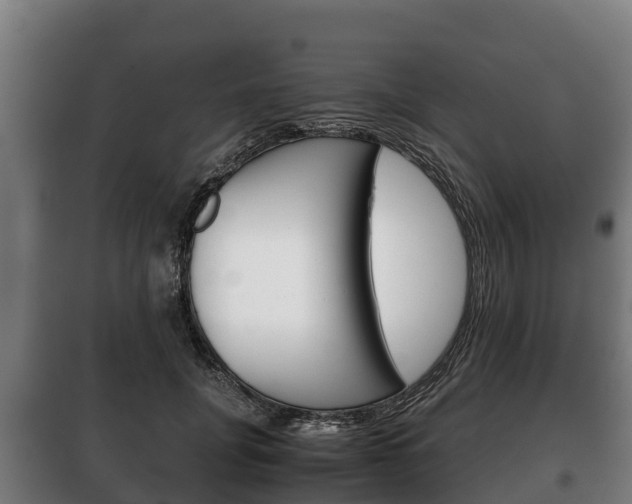 X0000100420751200806060947