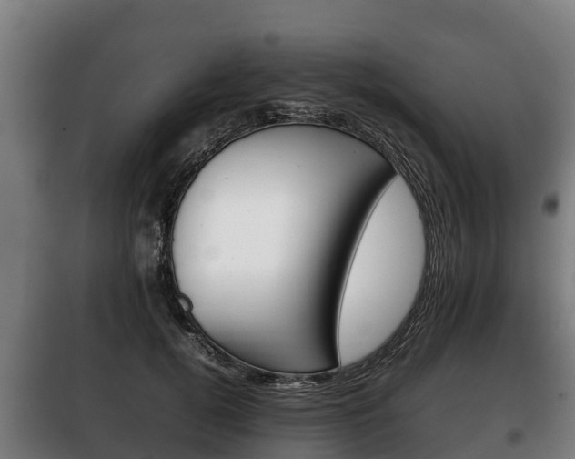 X0000100420752200806060947
