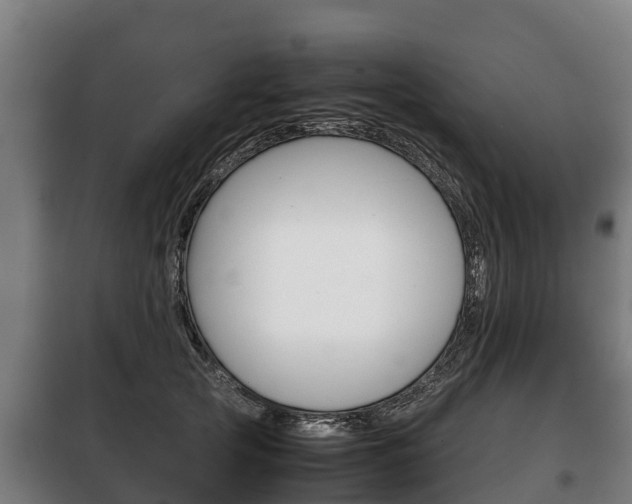 X0000100420753200806060947