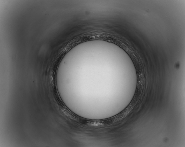 X0000100420754200806060947