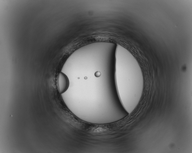 X0000100420755200806060947