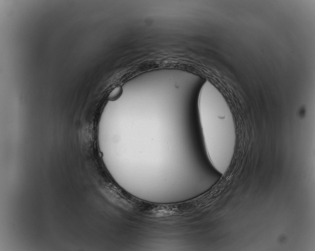 X0000100420756200806060947