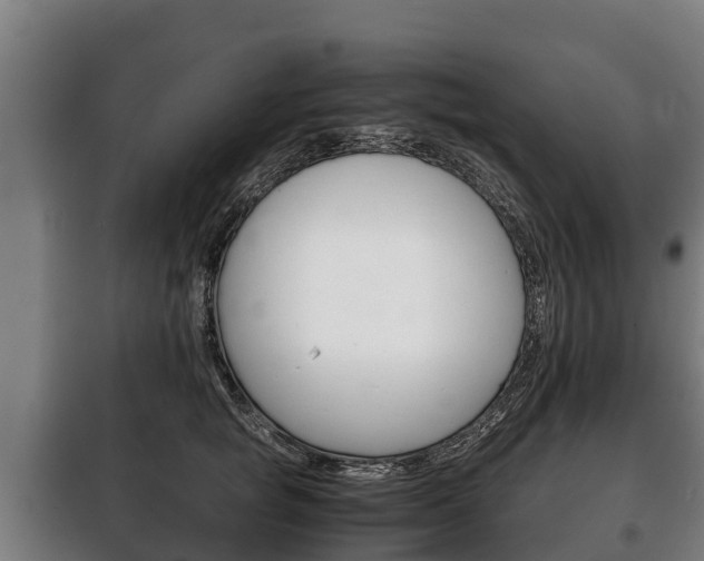 X0000100420757200806060947