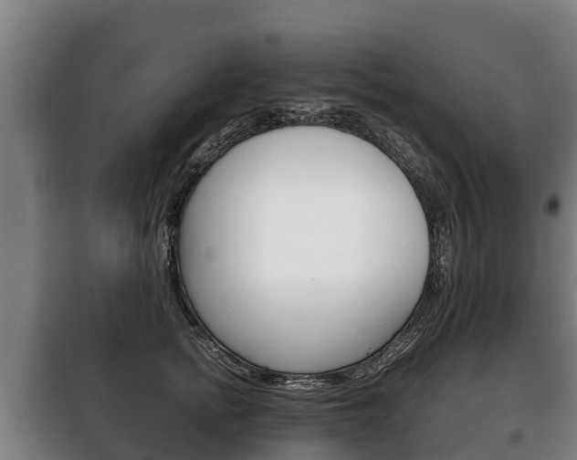 X0000100420758200806060947