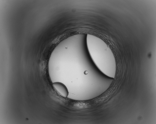 X0000100420759200806060947
