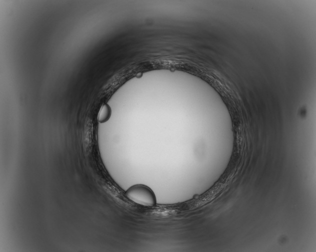 X0000100420760200806060947