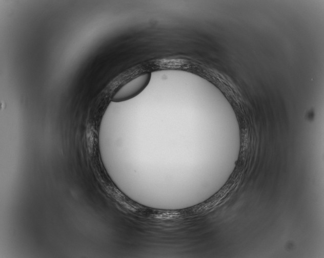 X0000100420761200806060948