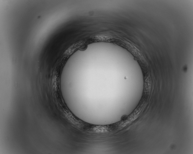X0000100420762200806060948