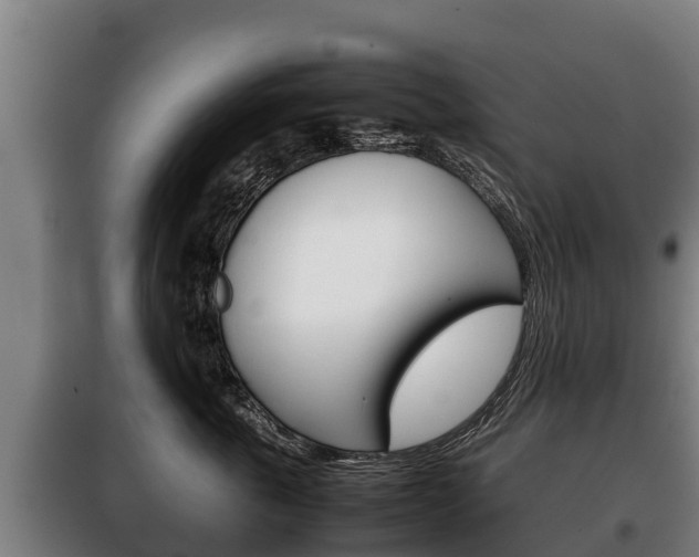 X0000100420763200806060948