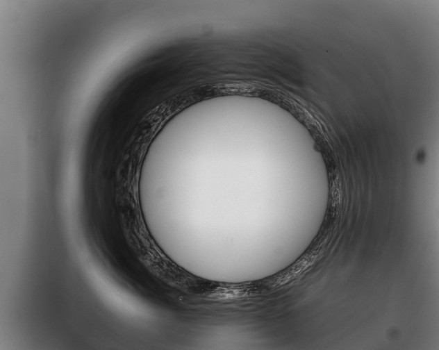 X0000100420764200806060948