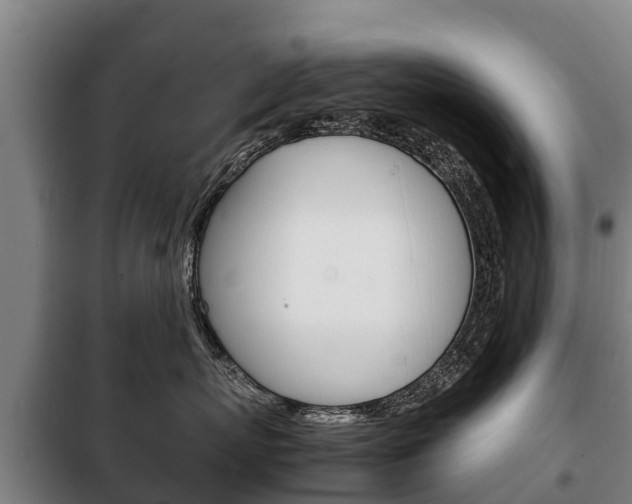 X0000100420767200806060948