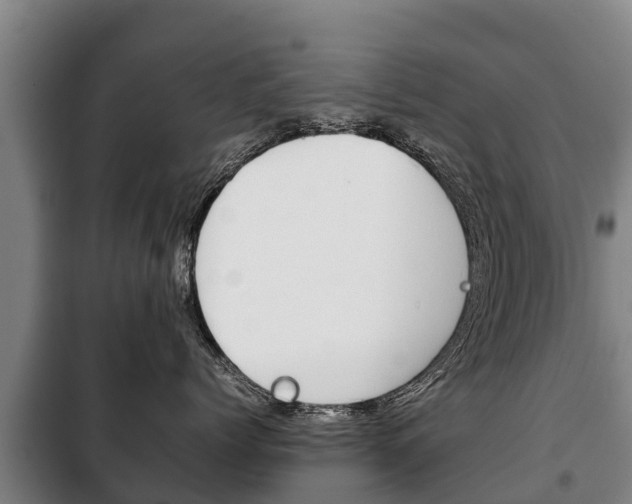 X0000100420768200806060948
