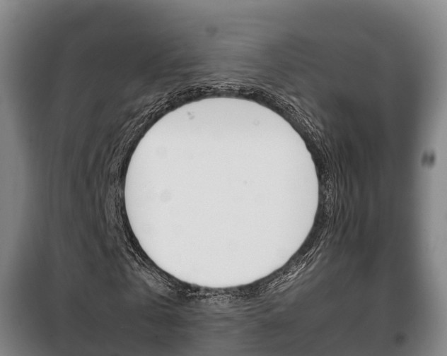 X0000100420769200806060947