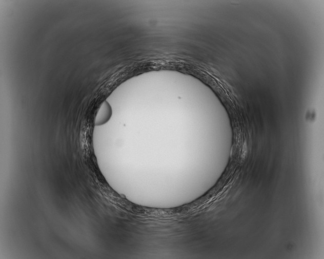 X0000100420770200806060947