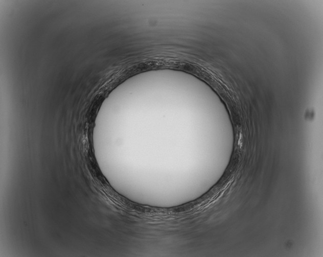 X0000100420771200806060947