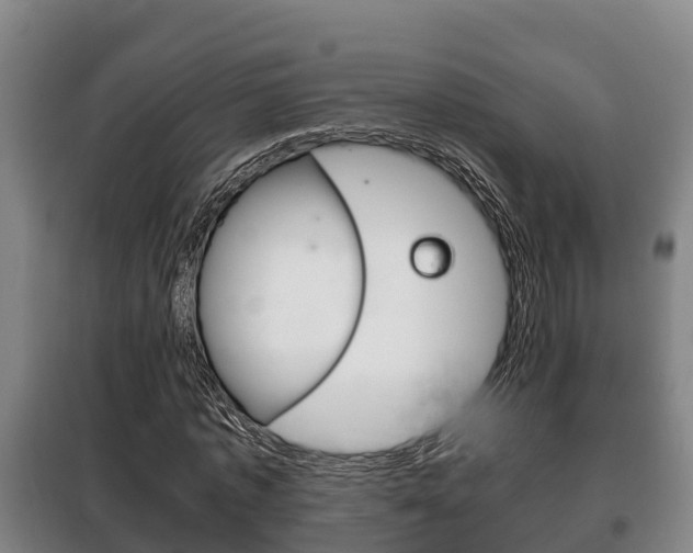 X0000100420773200806060947