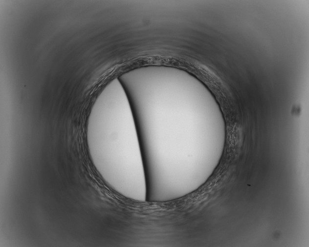 X0000100420774200806060947