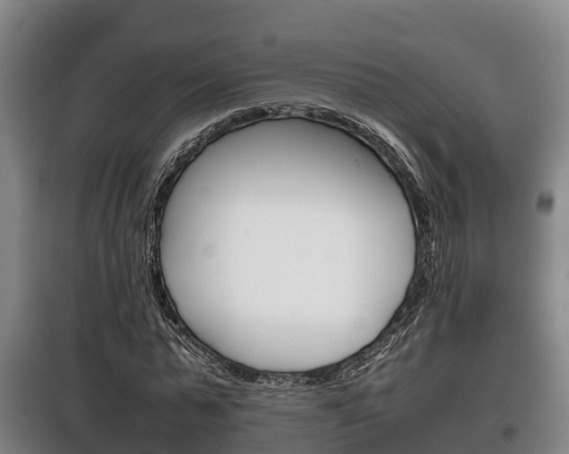 X0000100420775200806060947