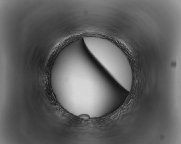 X0000100420776200806060947