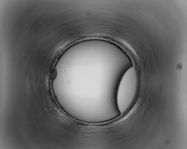 X0000100420777200806060947